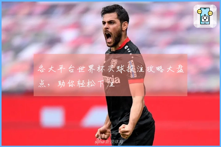 各大平台世界杯买球投注攻略大盘点，助你轻松下注