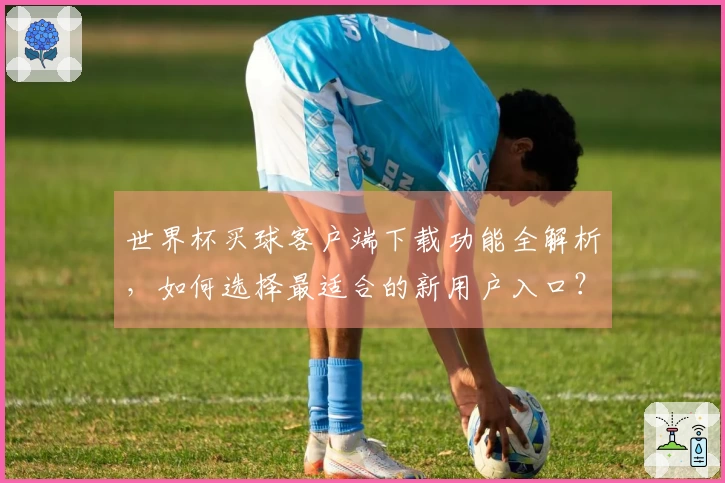世界杯买球客户端下载功能全解析，如何选择最适合的新用户入口？