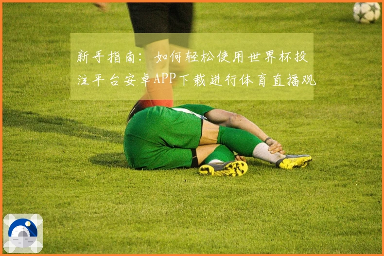 新手指南：如何轻松使用世界杯投注平台安卓APP下载进行体育直播观看