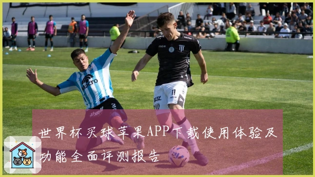 世界杯买球苹果APP下载使用体验及功能全面评测报告
