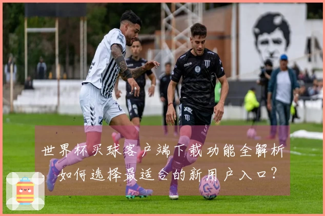 世界杯买球客户端下载功能全解析，如何选择最适合的新用户入口？