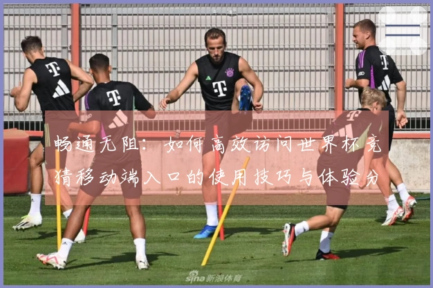 畅通无阻：如何高效访问世界杯竞猜移动端入口的使用技巧与体验分享