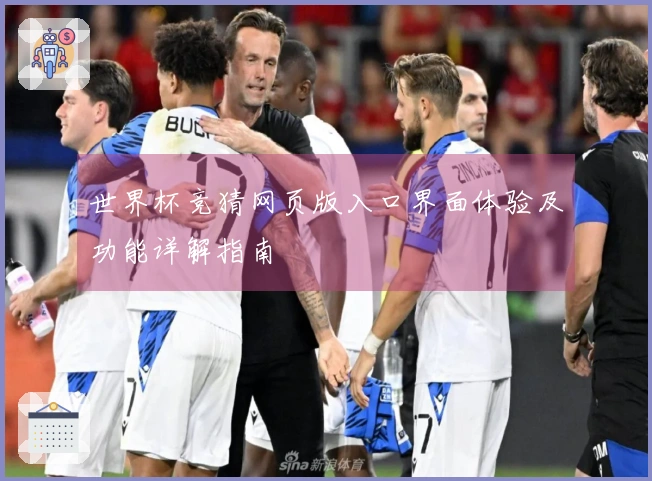 世界杯竞猜网页版入口界面体验及功能详解指南