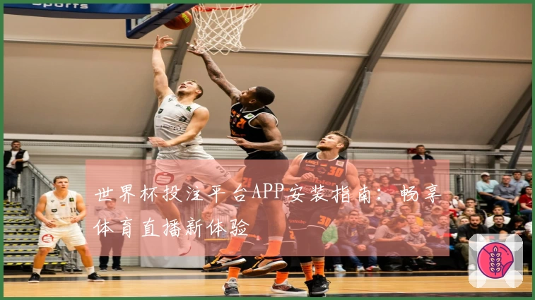 世界杯投注平台APP安装指南：畅享体育直播新体验