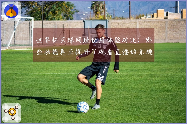 世界杯买球网址使用体验对比：哪些功能真正提升了观看直播的乐趣？