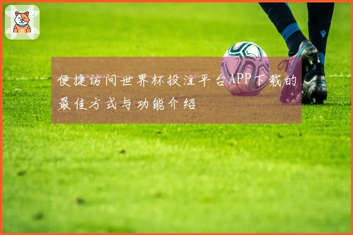 便捷访问世界杯投注平台APP下载的最佳方式与功能介绍