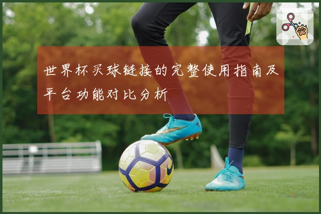 世界杯买球链接的完整使用指南及平台功能对比分析