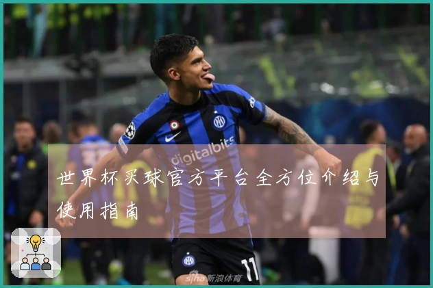 世界杯买球官方平台全方位介绍与使用指南
