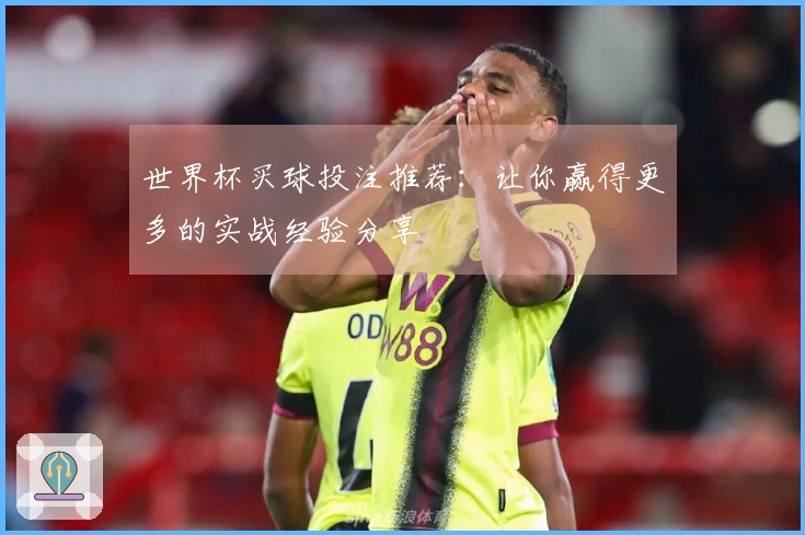 世界杯买球投注推荐：让你赢得更多的实战经验分享