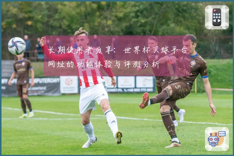 长期使用者分享：世界杯买球平台网址的功能体验与评测分析